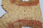 Klon jesionolistny czeczot Ash-leaf Maple Burl drewniany top na gitarę guitar top
