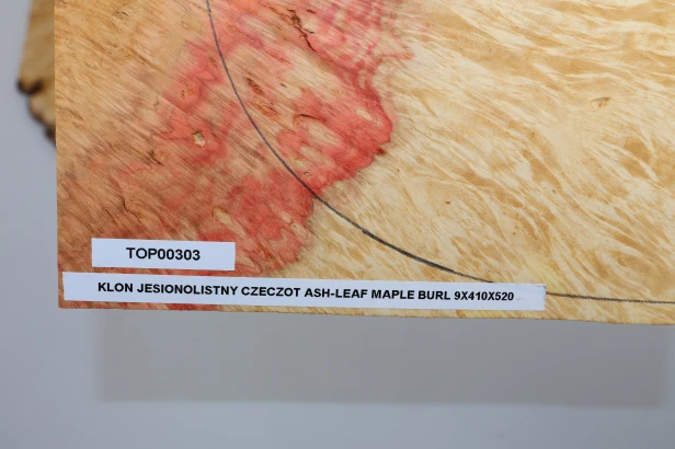 Klon jesionolistny czeczot Ash-leaf Maple Burl drewniany top na gitarę guitar top