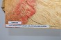 Klon jesionolistny czeczot Ash-leaf Maple Burl drewniany top na gitarę guitar top