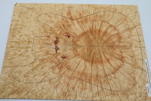 Klon jesionolistny czeczot Ash-leaf Maple Burl drewniany top na gitarę guitar top