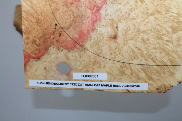 Klon jesionolistny czeczot Ash-leaf Maple Burl drewniany top na gitarę guitar top
