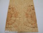 Klon jesionolistny czeczot Ash-leaf Maple Burl drewniany top na gitarę guitar top