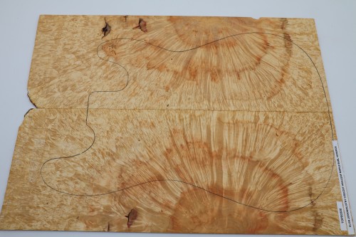 Klon jesionolistny czeczot Ash-leaf Maple Burl drewniany top na gitarę guitar top