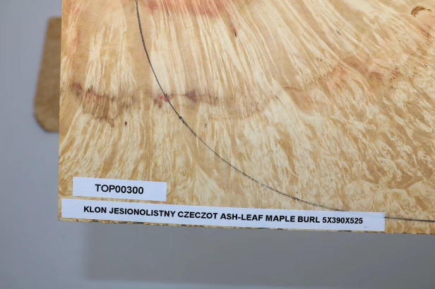 Klon jesionolistny czeczot Ash-leaf Maple Burl drewniany top na gitarę guitar top