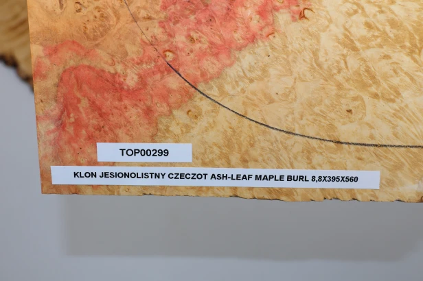Klon jesionolistny czeczot Ash-leaf Maple Burl drewniany top na gitarę guitar top