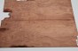 Gruszka Pearwood Pear drewniany top na gitarę guitar top