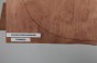 Gruszka Pearwood Pear drewniany top na gitarę guitar top