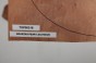 Gruszka Pearwood Pear drewniany top na gitarę guitar top