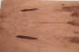 Gruszka Pearwood Pear drewniany top na gitarę guitar top