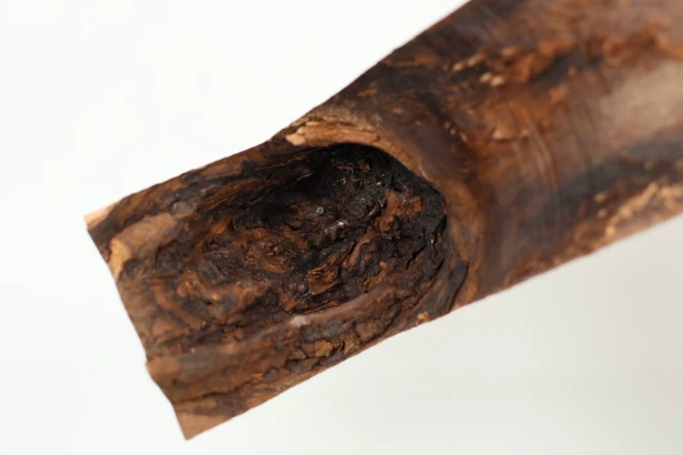 Orzech włoski fala Walnut Flame drewno do toczenia kantówka wood for turning Timber
