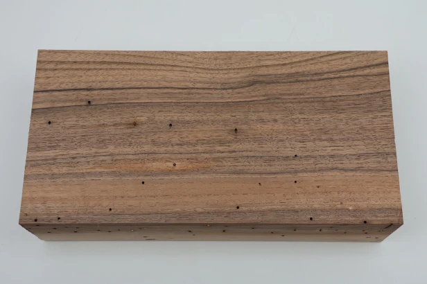 Orzech włoski fala Walnut Flame drewno do toczenia kantówka wood for turning Timber