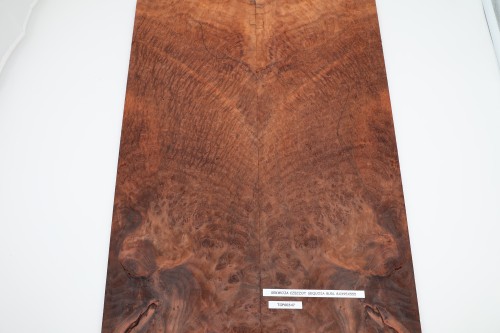 Sekwoja czeczot Sequoia Burl drewniany top na gitarę guitar top
