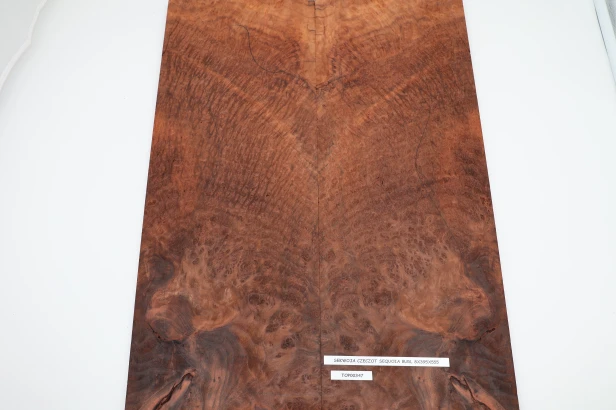 Sekwoja czeczot Sequoia Burl drewniany top na gitarę guitar top