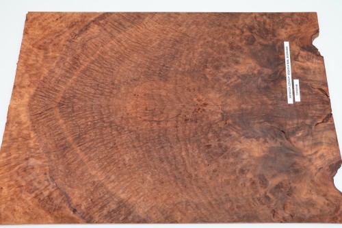 Sekwoja czeczot Sequoia Burl drewniany top na gitarę guitar top