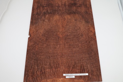 Sekwoja czeczot Sequoia Burl drewniany top na gitarę guitar top