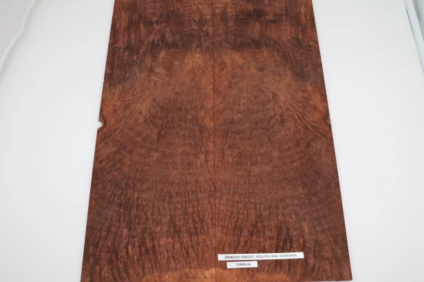 Sekwoja czeczot Sequoia Burl drewniany top na gitarę guitar top