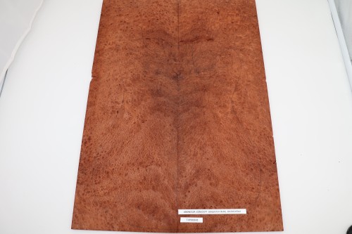 Sekwoja czeczot Sequoia Burl drewniany top na gitarę guitar top