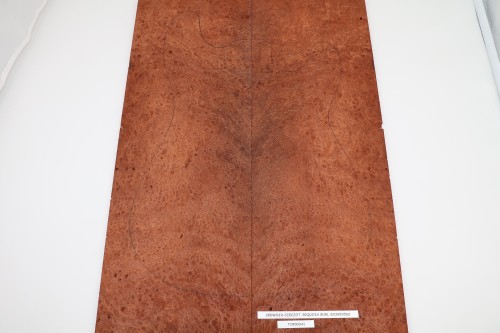 Sekwoja czeczot Sequoia Burl drewniany top na gitarę guitar top