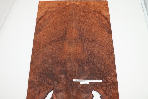 Sekwoja czeczot Sequoia Burl drewniany top na gitarę guitar top
