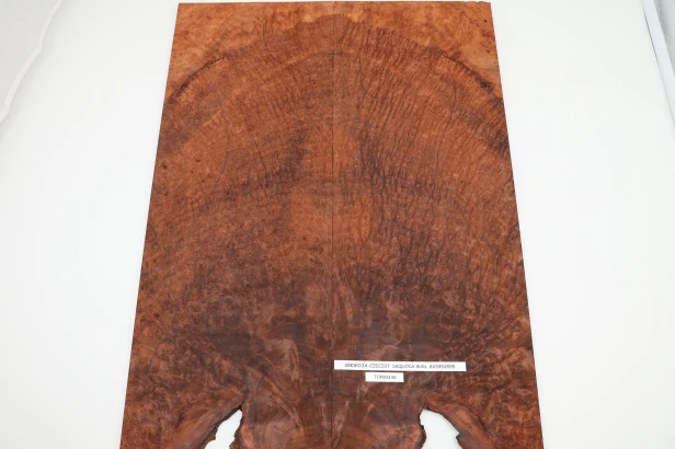 Sekwoja czeczot Sequoia Burl drewniany top na gitarę guitar top