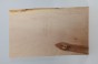 Klon fala Maple Flame deska drewniana wooden board
