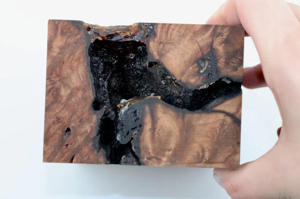 Sekwoja czeczot Sequoia Redwood Burl stabilizowane drewno na biżuterię stabilized wood for jewelry