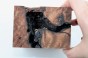 Sekwoja czeczot Sequoia Redwood Burl stabilizowane drewno na biżuterię stabilized wood for jewelry