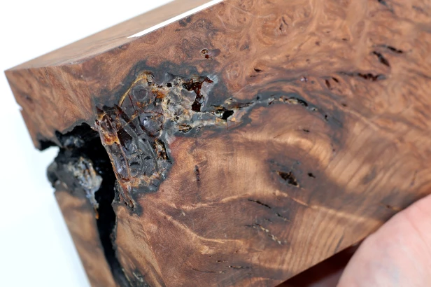 Sekwoja czeczot Sequoia Redwood Burl stabilizowane drewno na biżuterię stabilized wood for jewelry