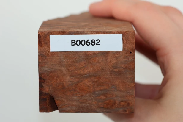 Sekwoja czeczot Sequoia Redwood Burl stabilizowane drewno na biżuterię stabilized wood for jewelry