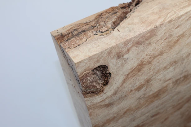 Buk Beech Wood Spalted drewno do toczenia wood for turning