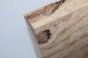 Buk Beech Wood Spalted drewno do toczenia wood for turning