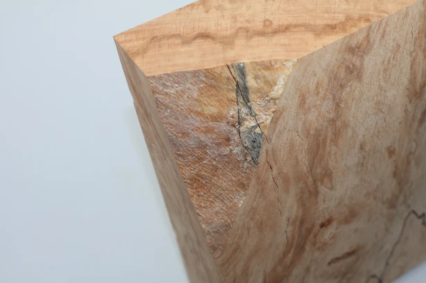 Buk Beech Wood Spalted drewno do toczenia wood for turning
