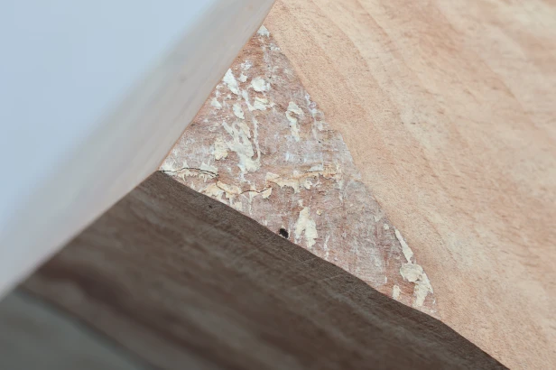 Buk Beech Wood Spalted drewno do toczenia wood for turning
