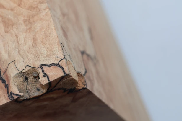 Buk Beech Wood Spalted drewno do toczenia wood for turning