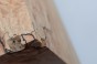 Buk Beech Wood Spalted drewno do toczenia wood for turning