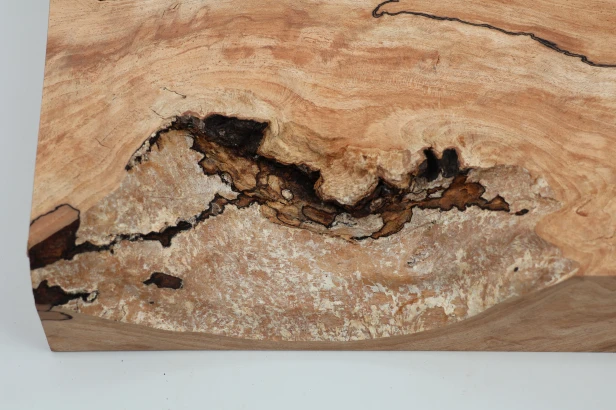 Buk Beech Wood Spalted drewno do toczenia wood for turning