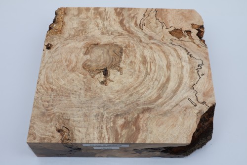 Buk Beech Wood Spalted drewno do toczenia wood for turning