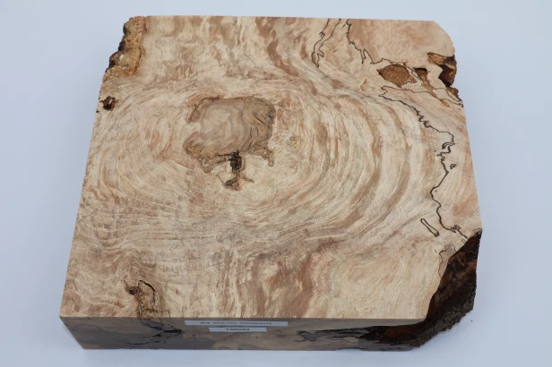Buk Beech Wood Spalted drewno do toczenia wood for turning