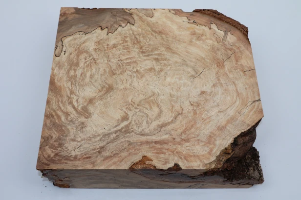 Buk Beech Wood Spalted drewno do toczenia wood for turning