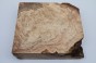 Buk Beech Wood Spalted drewno do toczenia wood for turning