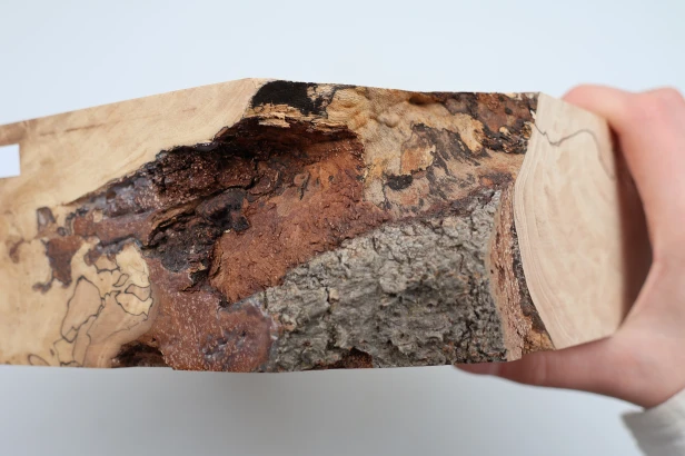 Buk Beech Wood Spalted drewno do toczenia wood for turning