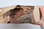 Buk Beech Wood Spalted drewno do toczenia wood for turning