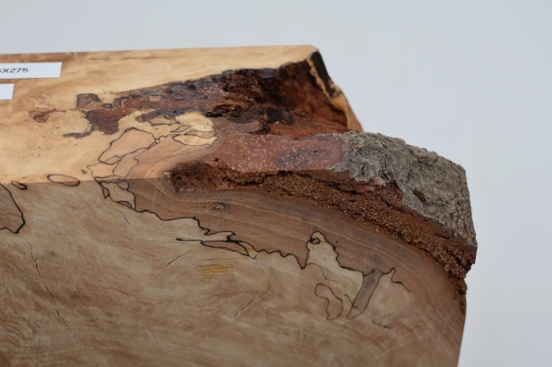 Buk Beech Wood Spalted drewno do toczenia wood for turning