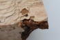 Buk Beech Wood Spalted drewno do toczenia wood for turning