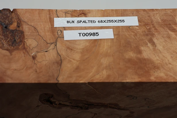 Buk Beech Wood Spalted drewno do toczenia wood for turning