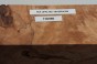 Buk Beech Wood Spalted drewno do toczenia wood for turning