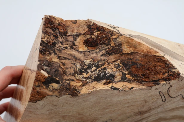 Buk Beech Wood Spalted drewno do toczenia wood for turning