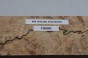 Buk Beech Wood Spalted drewno do toczenia wood for turning