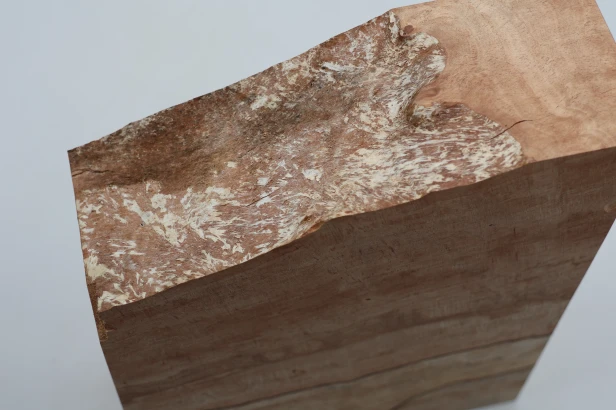 Buk Beech Wood Spalted drewno do toczenia wood for turning