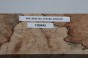Buk Beech Wood Spalted drewno do toczenia wood for turning